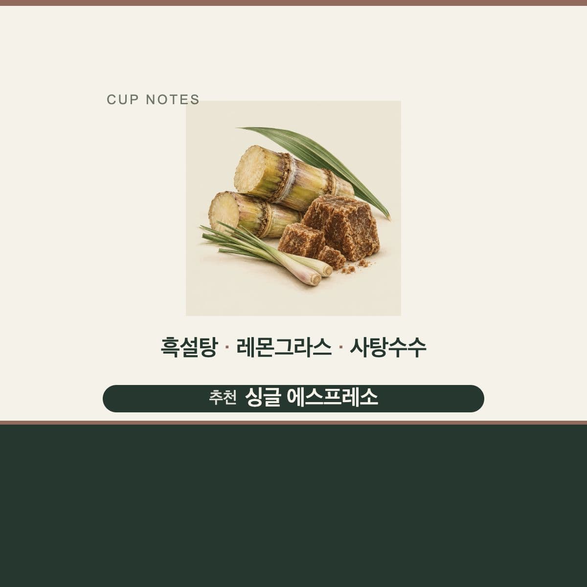 콜롬비아 Finca Rio Negro Pink Bourbon