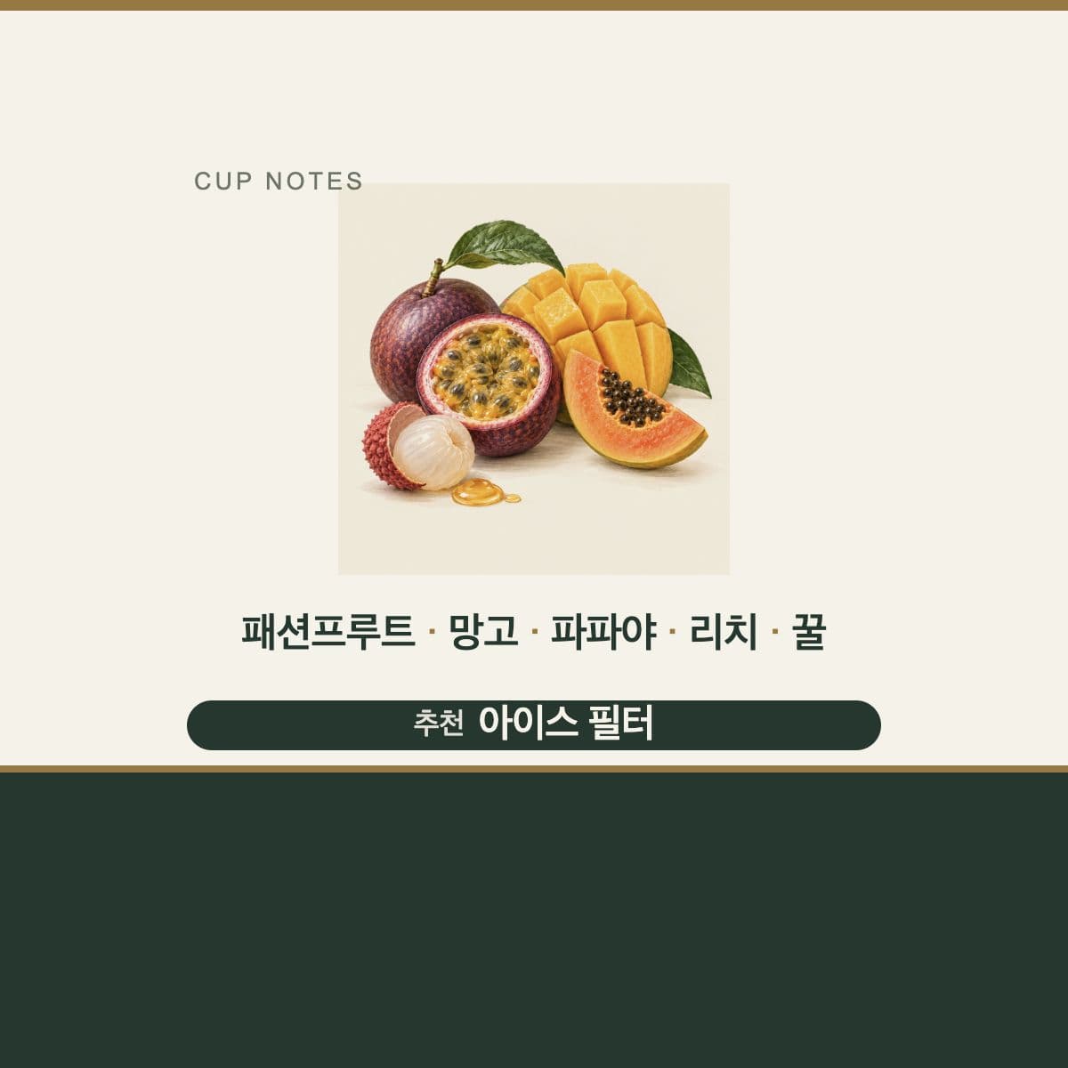 콜롬비아 Finca Rio Negro Yellow Winter
